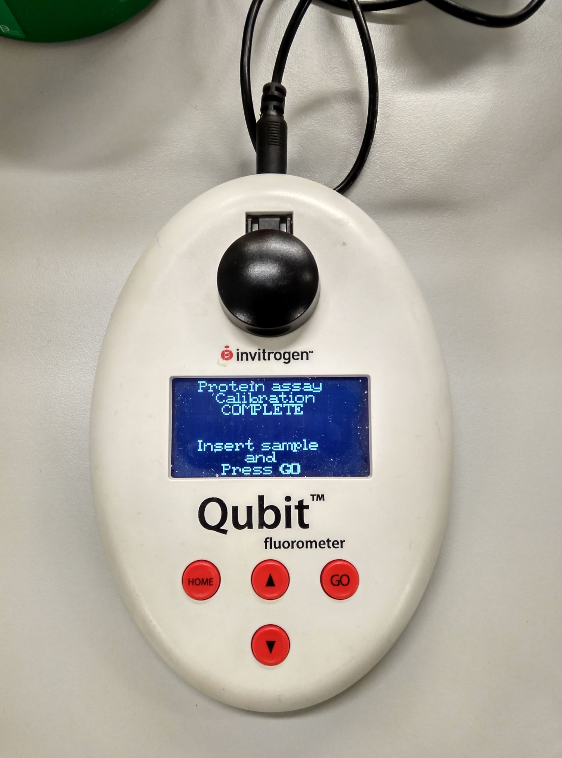 Measuring protein sample with Qubit, Qubit protein measurement