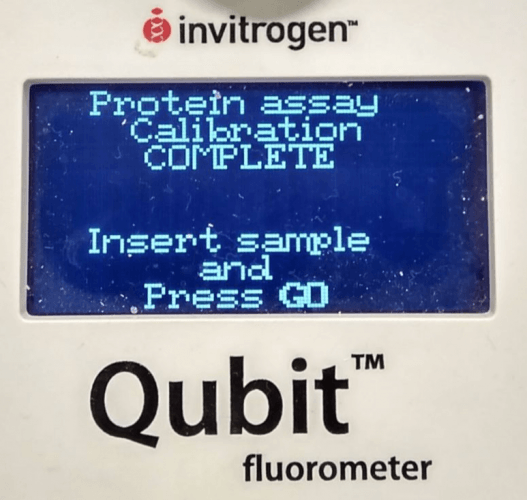 Measuring sample with Qubit, Qubit protein quantitation