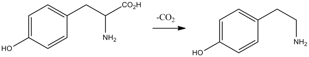 Biochemically, tyramine is produced by the decarboxylation of tyrosine via the action of the enzyme tyrosine decarboxylase