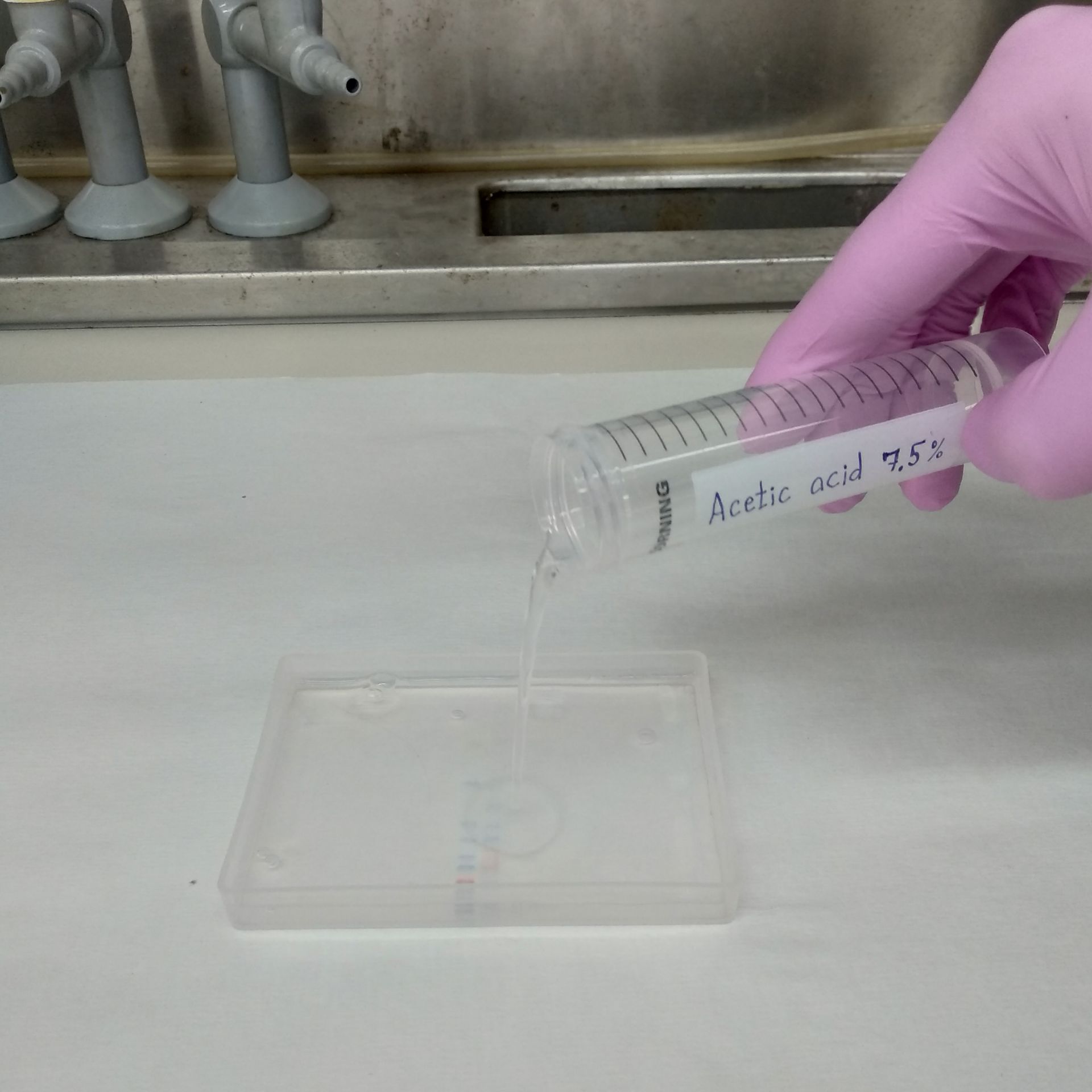 Rinse the gel in a 7.5% acetic acid solution